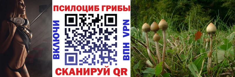 Галлюциногенные грибы Psilocybine cubensis  Солигалич 