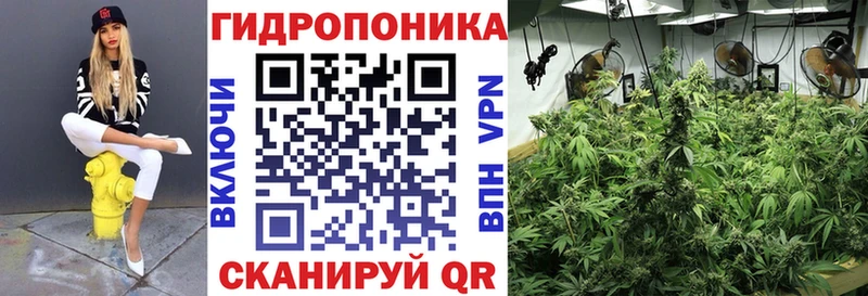 мориарти Telegram  наркотики  Солигалич  Шишки марихуана MAZAR 